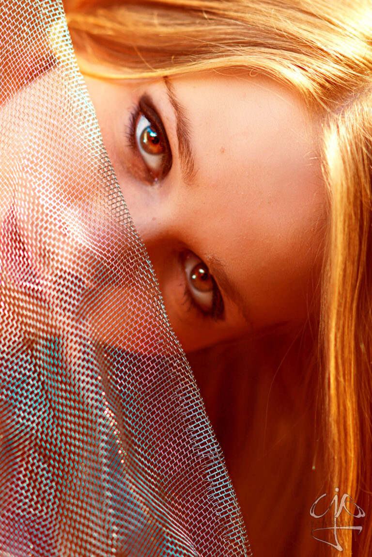 DSC00842_dt_beakl
