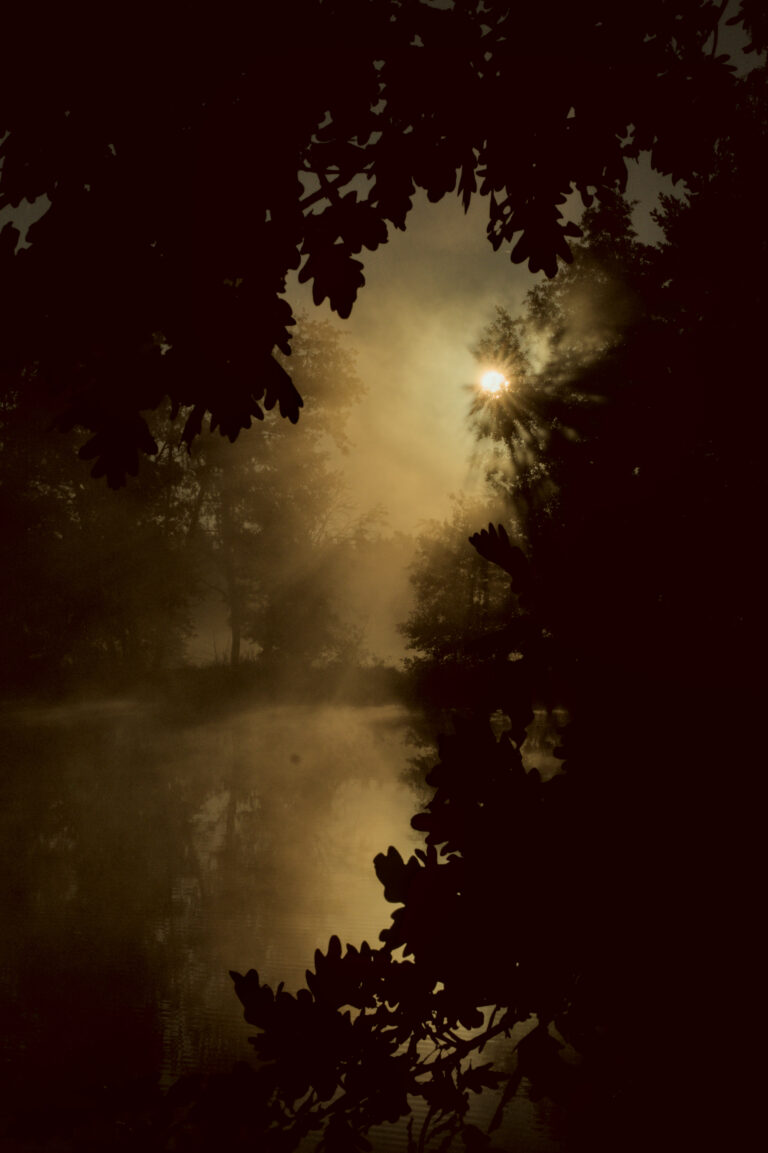 20230916_072830_CJ108567
