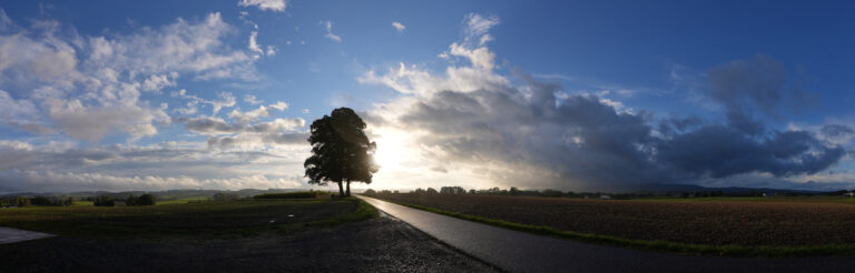 Projection: Cylindrical (1)
FOV: 185 x 85
Ev: 14,64