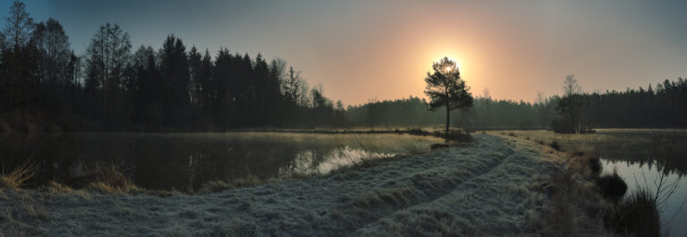 Projection: Cylindrical (1)
FOV: 178 x 49
Ev: 16,46