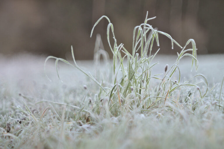 DSC06122_dt
