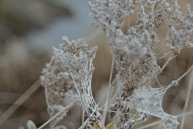 DSC06125_dt