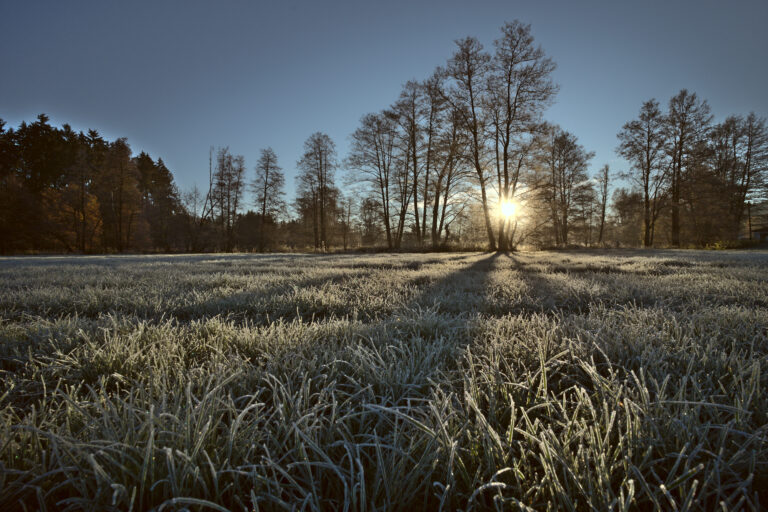 DSC06146_dt