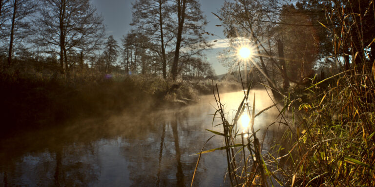 DSC06151_dt
