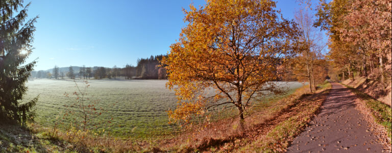 DSC06164 – DSC06187_fused_dt